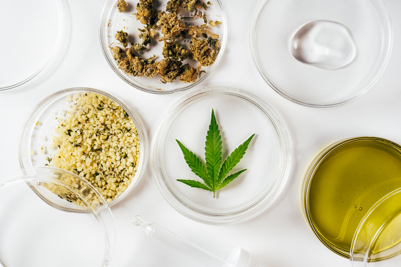 regulacao hormonal cannabis