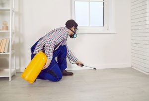 A Cannabis como alternativa no controle da doença de Chagas