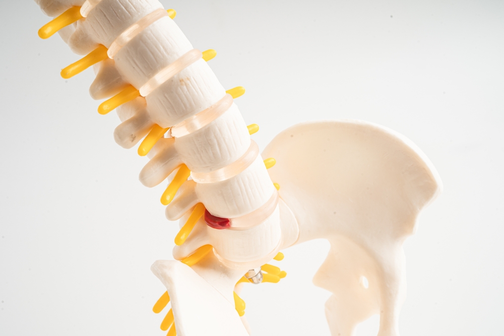 Canabidiol e saúde dos ossos: o que a ciência já sabe sobre o CBD