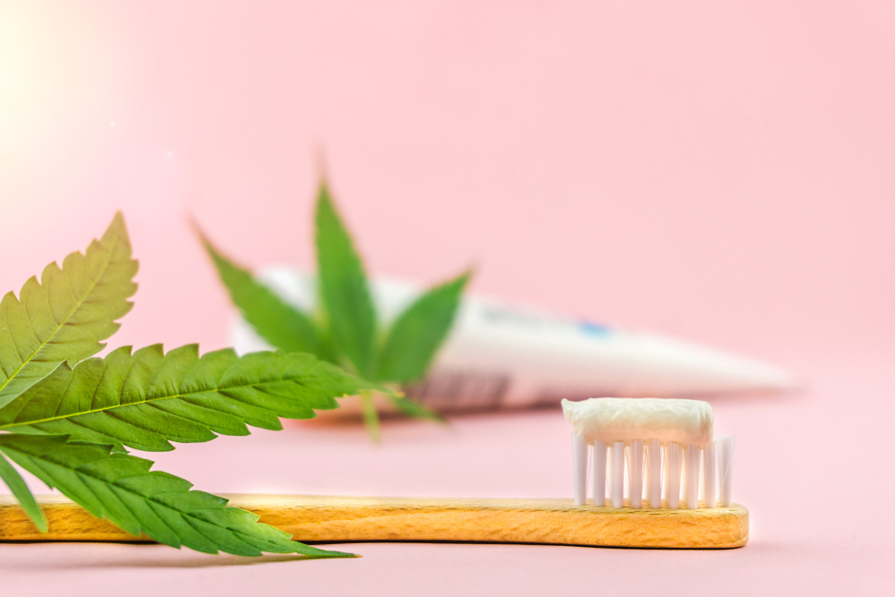 CBD pode ajudar na regeneração dos dentes, sugere estudo