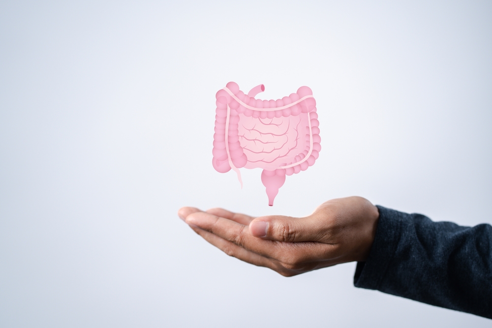 Cannabis contra doença inflamatória intestinal: o que diz a ciência