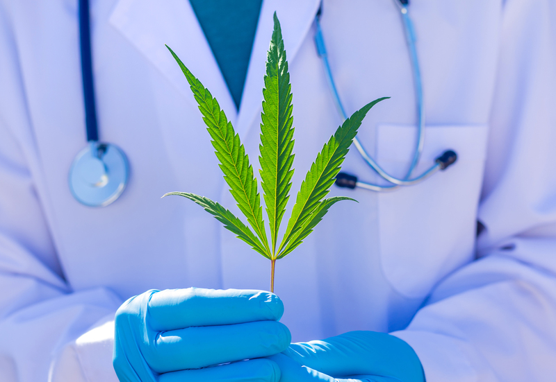 lista-de-medicos-que-prescrevem-canabidiol-no-brasil