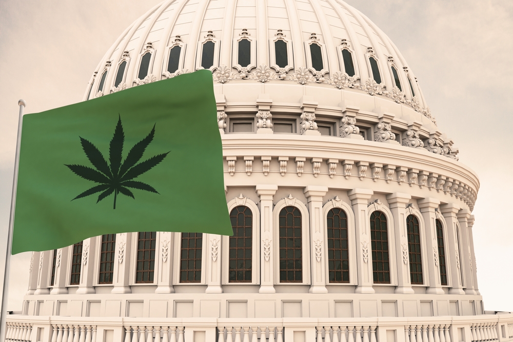 Reclassificação da Cannabis nos EUA abre portas à ciência
