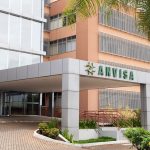 Anvisa dá sinal verde para exportação de Cannabis produzida no Brasil