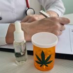 Cannabis medicinal: por que cada paciente responde diferente