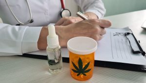 Cannabis medicinal: por que cada paciente responde diferente