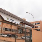 O que a Anvisa está considerando antes de regulamentar o cultivo de Cannabis medicinal