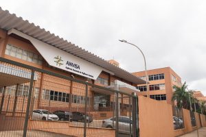 O que a Anvisa está considerando antes de regulamentar o cultivo de Cannabis medicinal