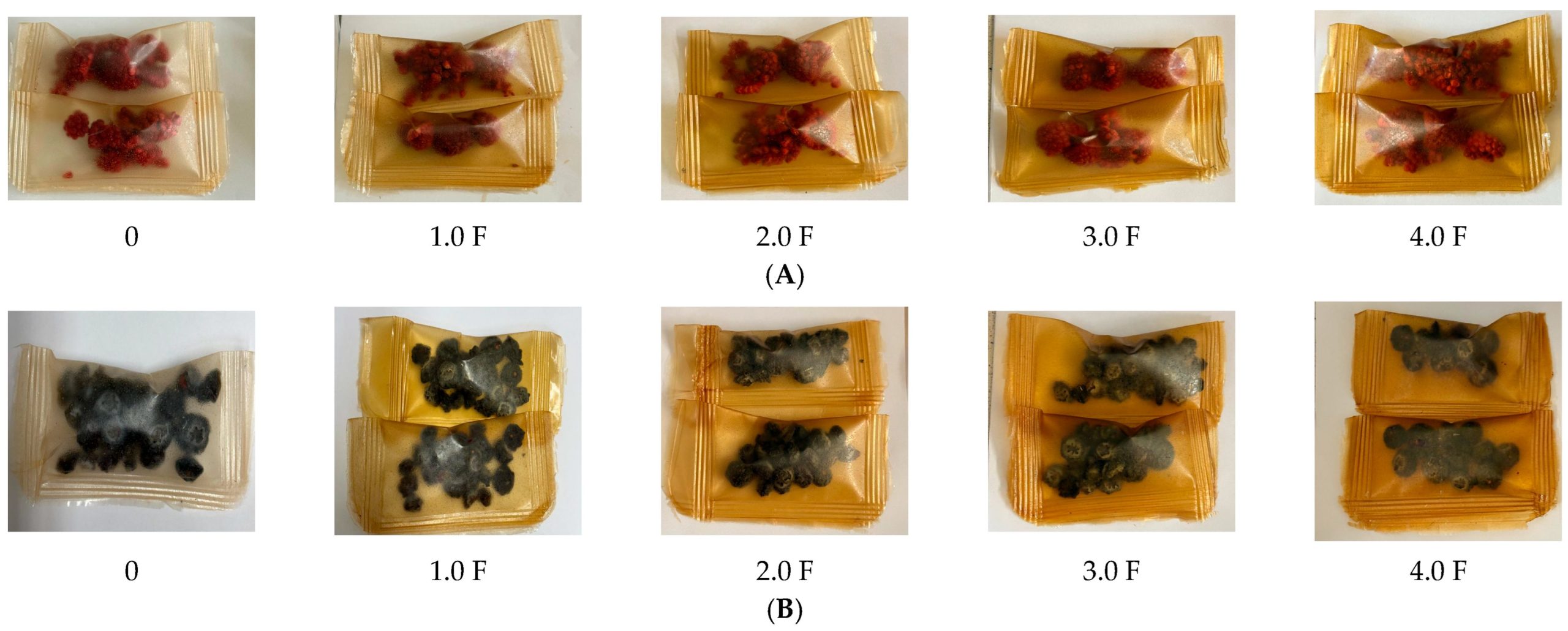 Imagens de framboesas (A) embaladas e de mirtilos (B) embalados.