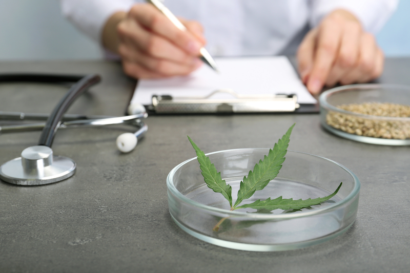 anvisa-como-conseguir-receita-de-cannabis-medicinal-no-brasil