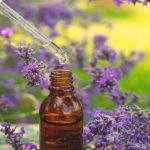 Terpenos e THC podem agir em sinergia, diz pesquisa