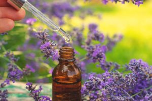 Terpenos e THC podem agir em sinergia, diz pesquisa