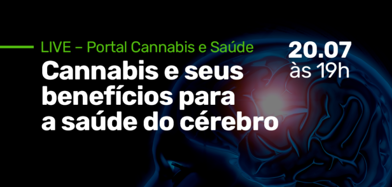 neurologia