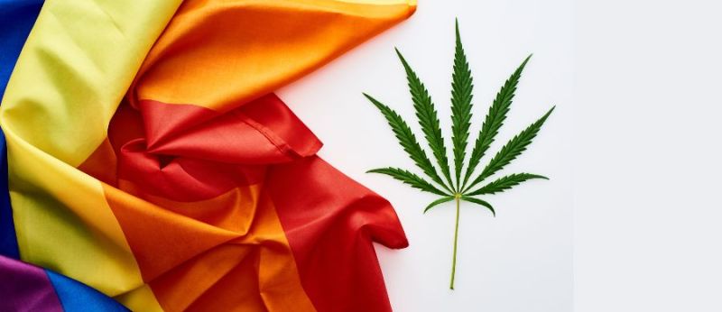 17 de maio combatendo a LGBTfobia com ajuda da Cannabis