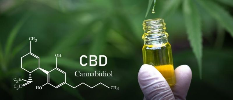 abaixo-assinado-dravet