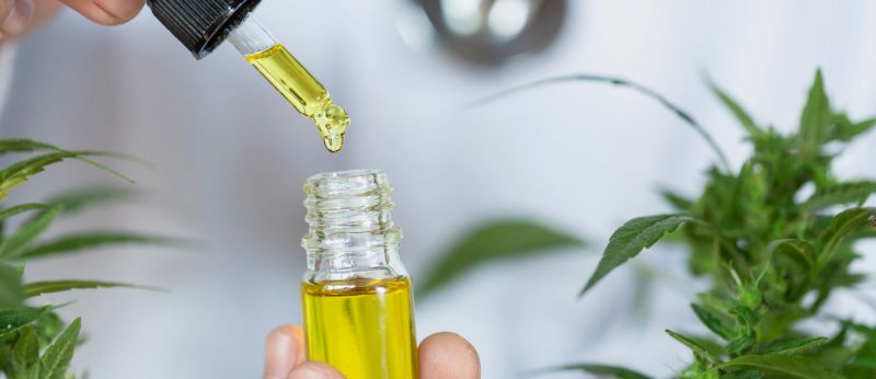 Por que começar a prescrever canabinoides?