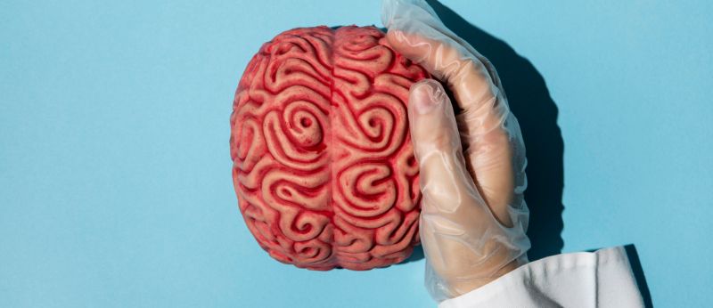Dia Mundial do Cérebro