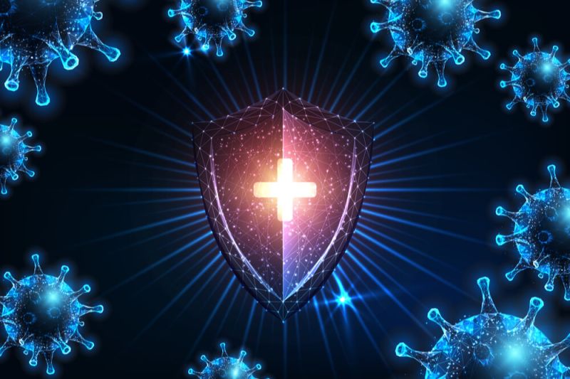 cbd sistema imunológico uso da substancia em doenças autoimune s