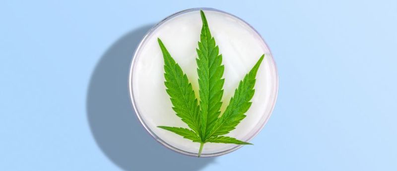 CBD tópico uma alternativa para o alívio da dor