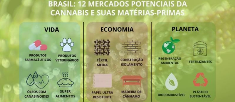 Denise-Fotos-Materias-Portal-Cannabis-Saude-2022-12-07T122952.814