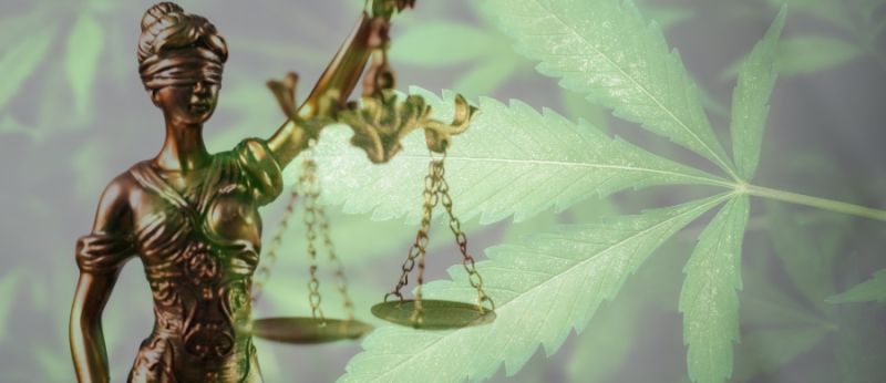 Regulamentação da cannabis em 2023