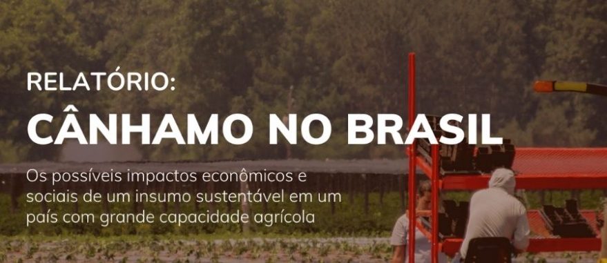 hoje-lancamento-relatorio-canhamo-no-brasil