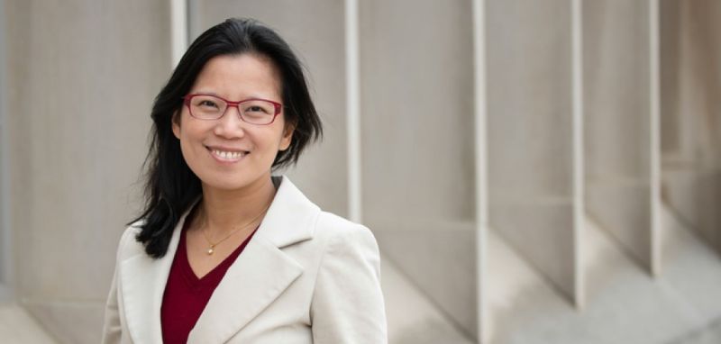 desenvolvimento do cérebro adolescente