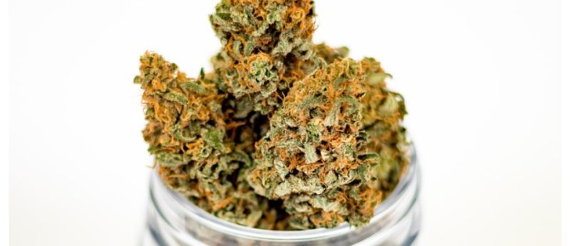 ONG distribuirá porções de maconha para convencer céticos a se vacinarem contra a Covid-19 nos EUA