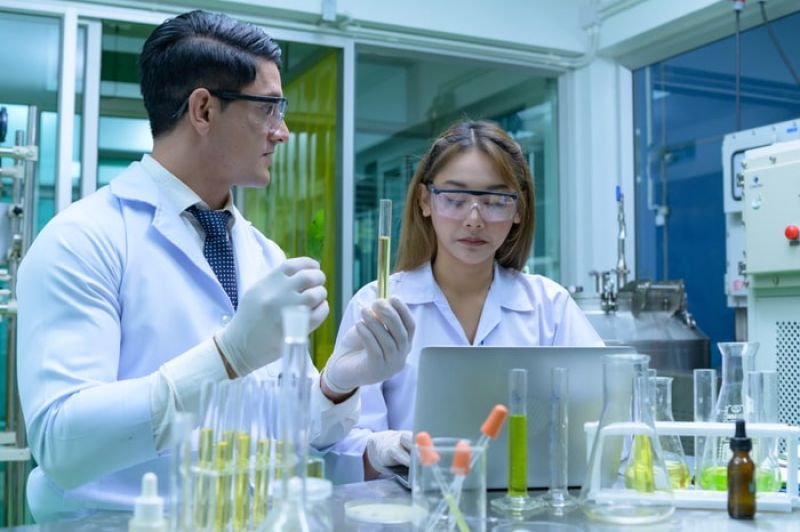 Pesquisa Reino Unido com Cannabis e o cérebro