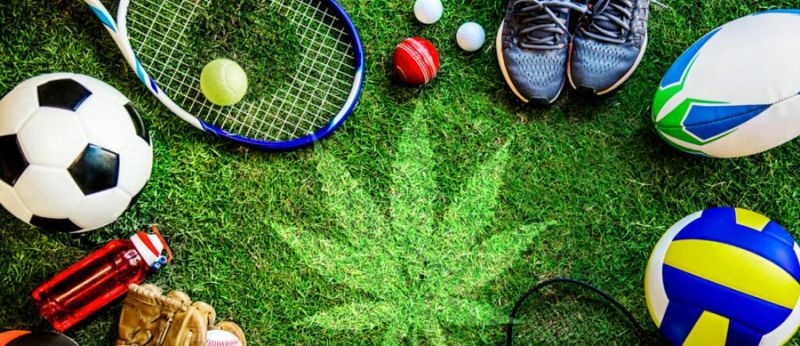cannabis e esportes