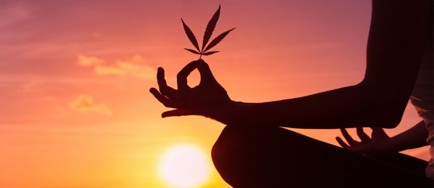 cannabis e meditacao1