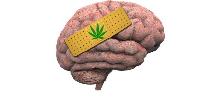 cannabis e saude mental