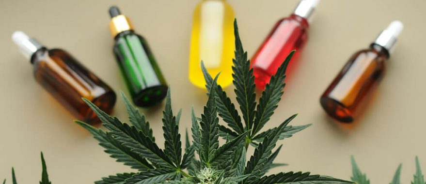 Cannabis Medicinal o que é