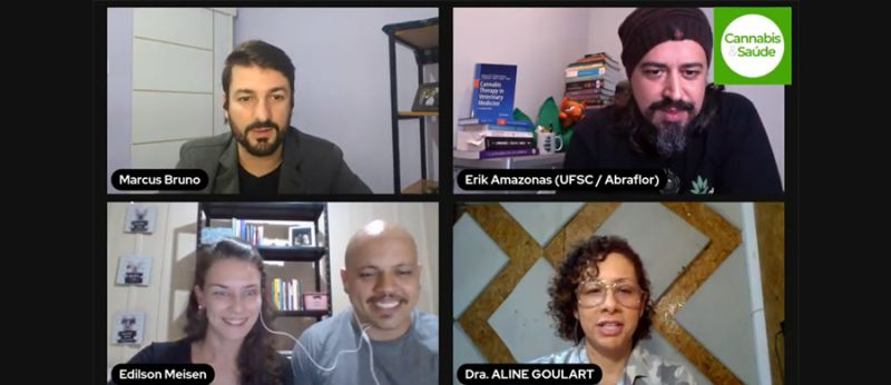 cannabis veterinaria