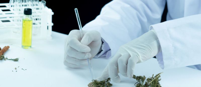 cbg-tratamento-cancer