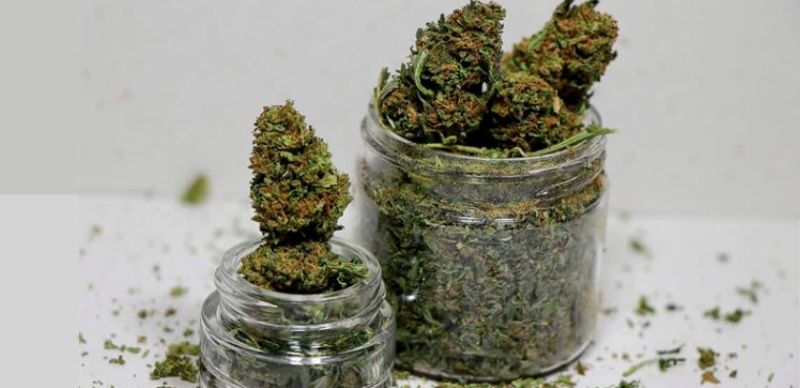 Alerta sobre flores com Delta-8-THC