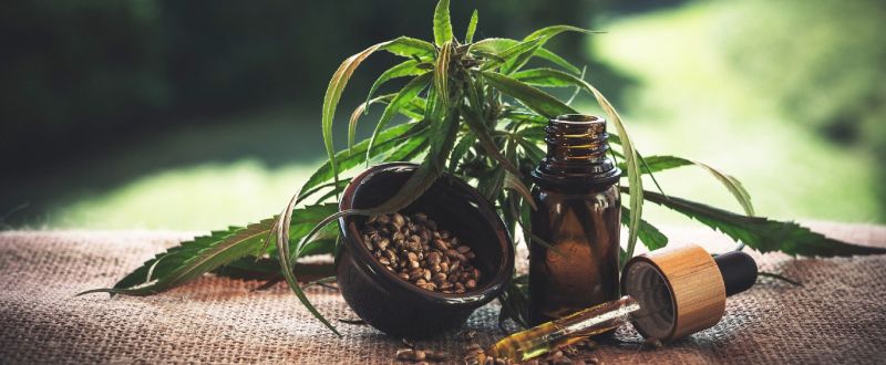 oleo-cbd