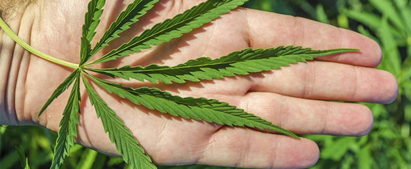 Parkison's Foundation