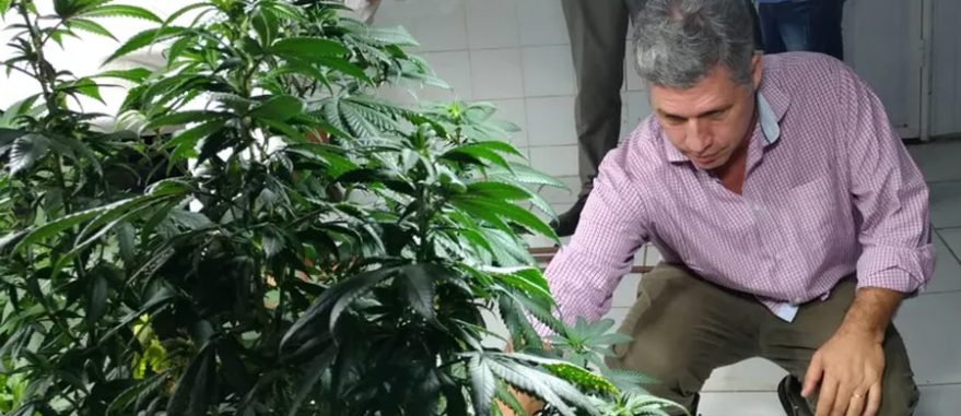 Deputado Paulo Teixeira conhece a sede da Abrace, ONG autorizada a plantar Cannabis, em João Pessoa