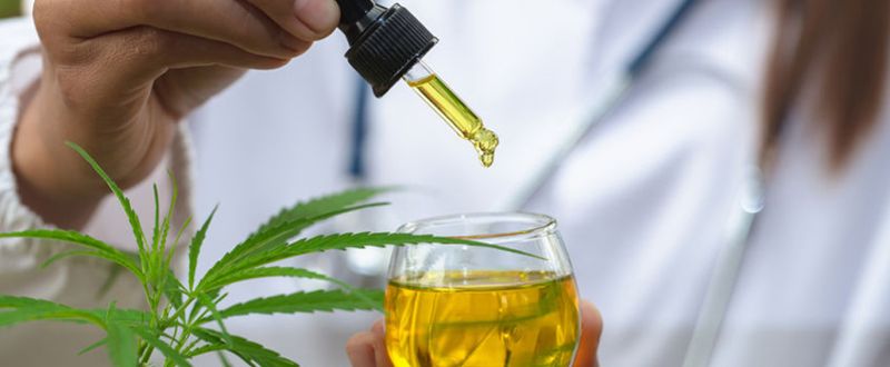 123RF | Rede CannaLatan reunirá pesquisadores de 8 países na pesquisa sobre canabinoides