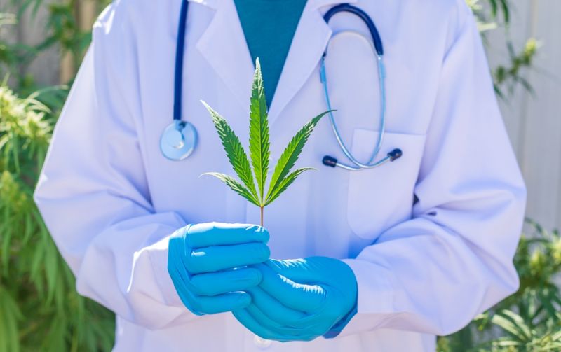 Guia britânico define boas práticas para prescrição de Cannabis medicinal