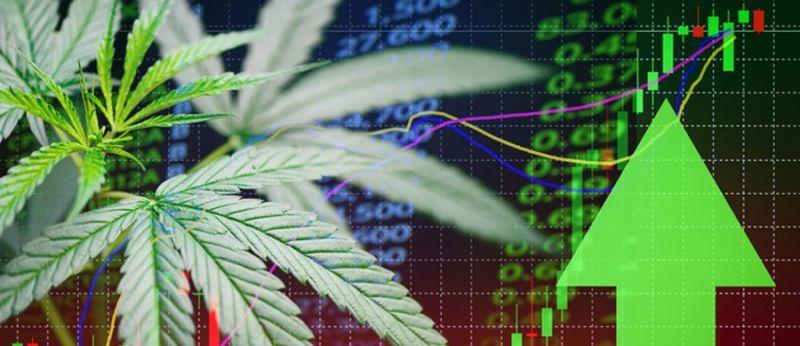 vitreo canabidiol ativo